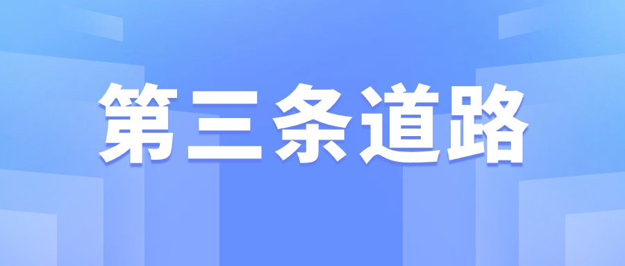 第三条道路